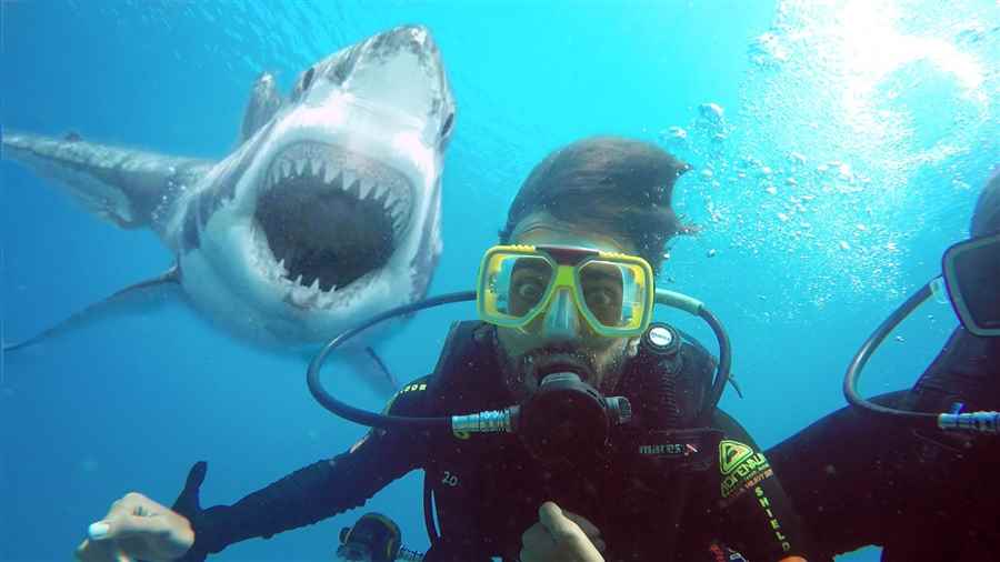 भारत में रोमांचक जल क्रीड़ा के सर्वोत्तम स्थान