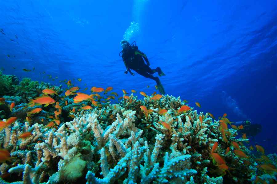 भारत में रोमांचक जल क्रीड़ा के सर्वोत्तम स्थान