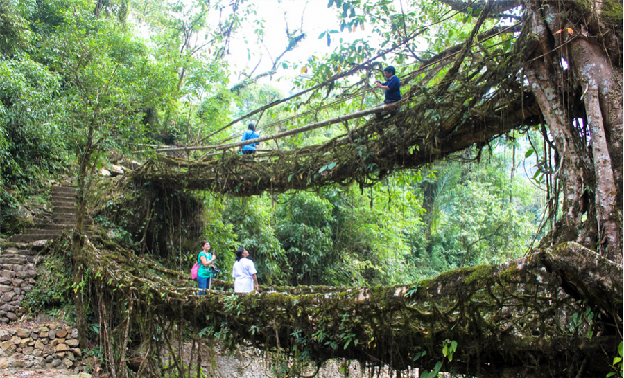भारत में विचित्र पर्यटन स्थल