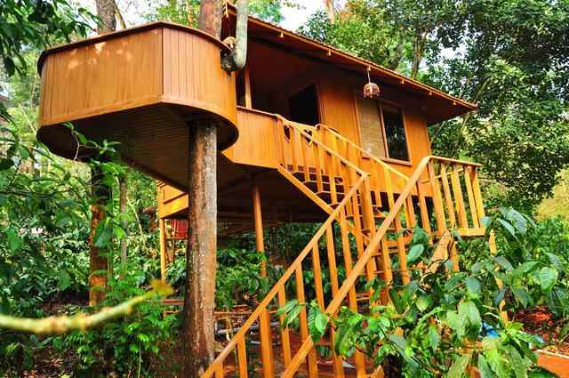 भारत के कॉफी रिसॉर्ट्स