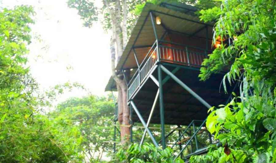 भारत के कॉफी रिसॉर्ट्स