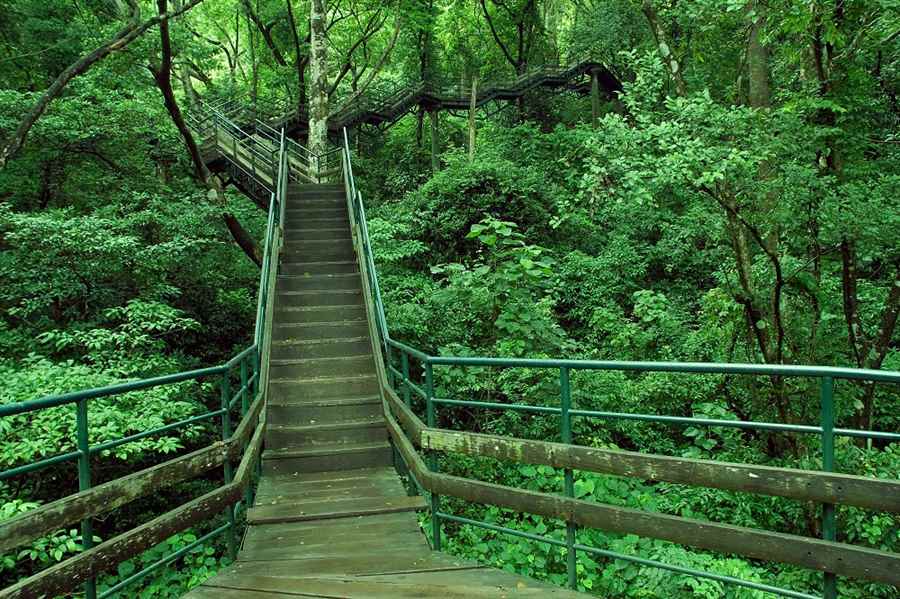 भारत में पर्यावरणीय पर्यटन