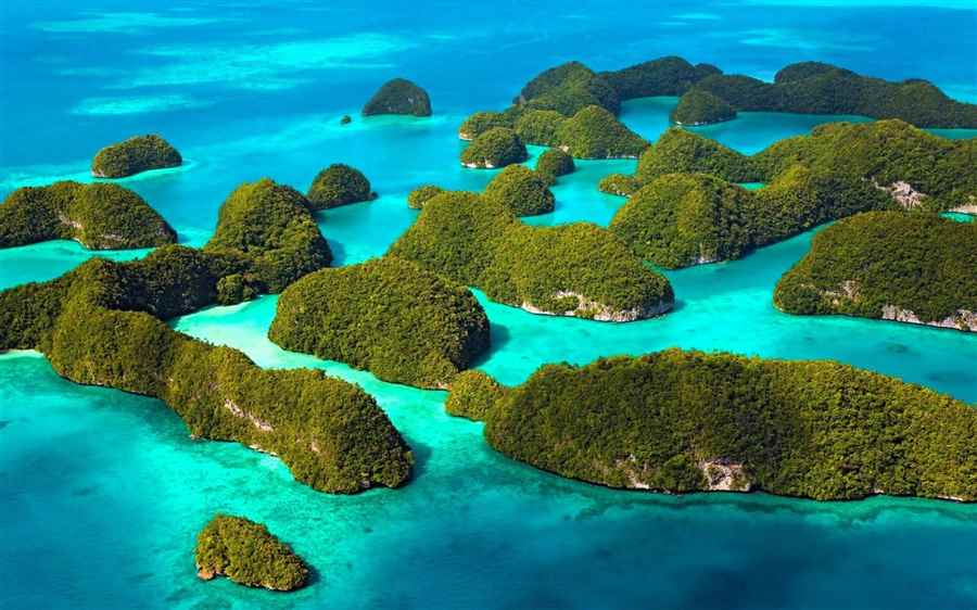 भारत में पर्यावरणीय पर्यटन