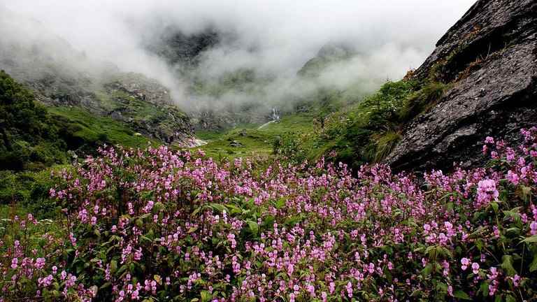 भारत में पर्यावरणीय पर्यटन