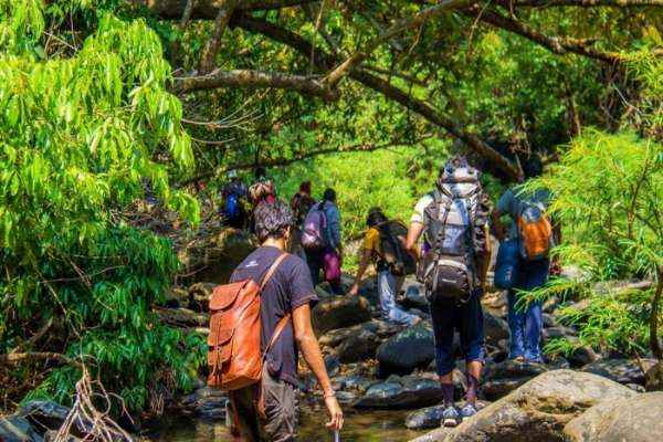 भारत में पर्यावरणीय पर्यटन