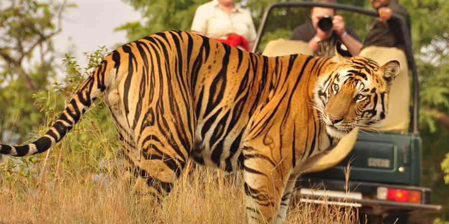 भारत में पर्यावरणीय पर्यटन