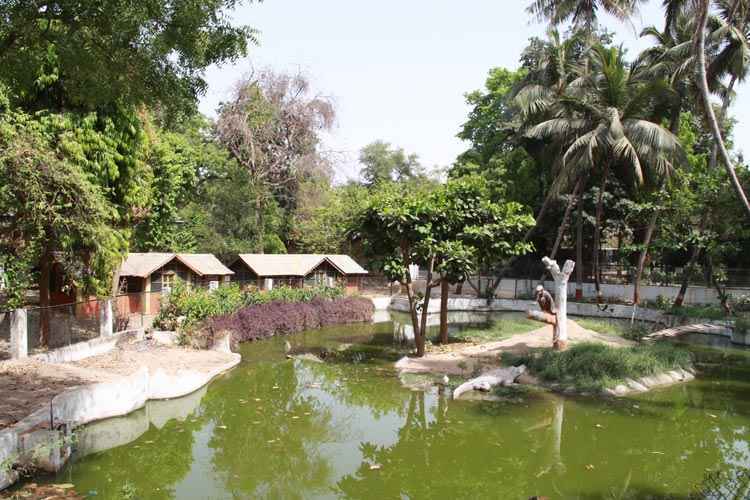 भारत के खूबसूरत उद्यान