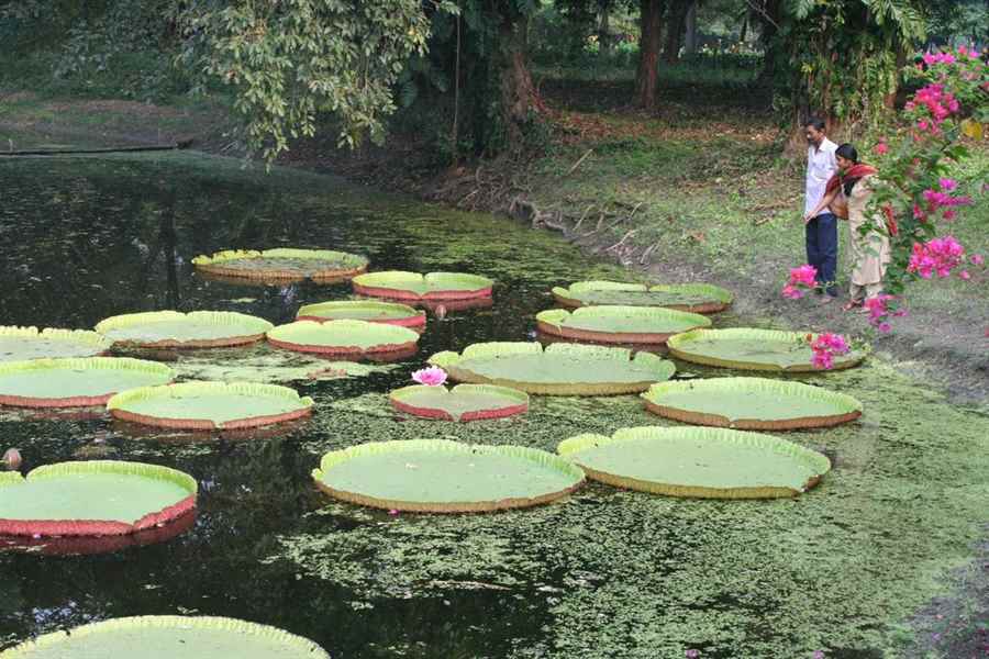 भारत के खूबसूरत उद्यान