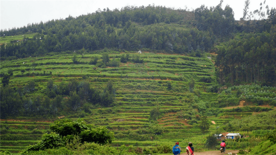 भारत के हिल स्टेशन