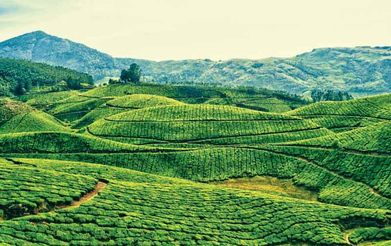 भारत के हिल स्टेशन