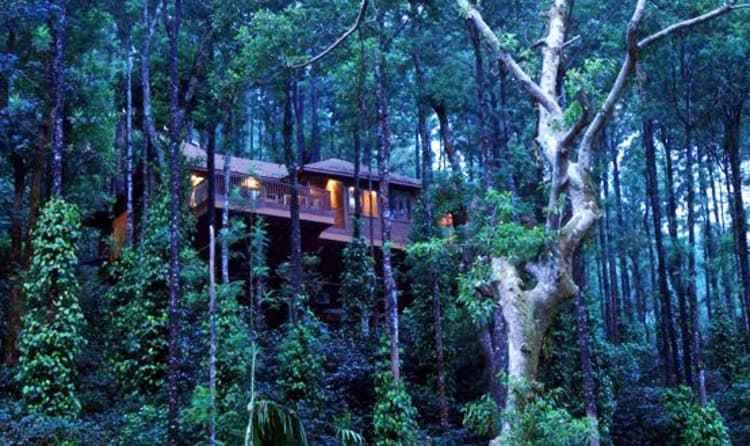 भारत में हनीमून के स्थान