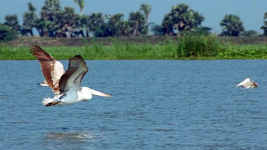 भारत की सबसे खूबसूरत झीलें