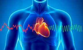 भारत में चिकित्सा पर्यटन