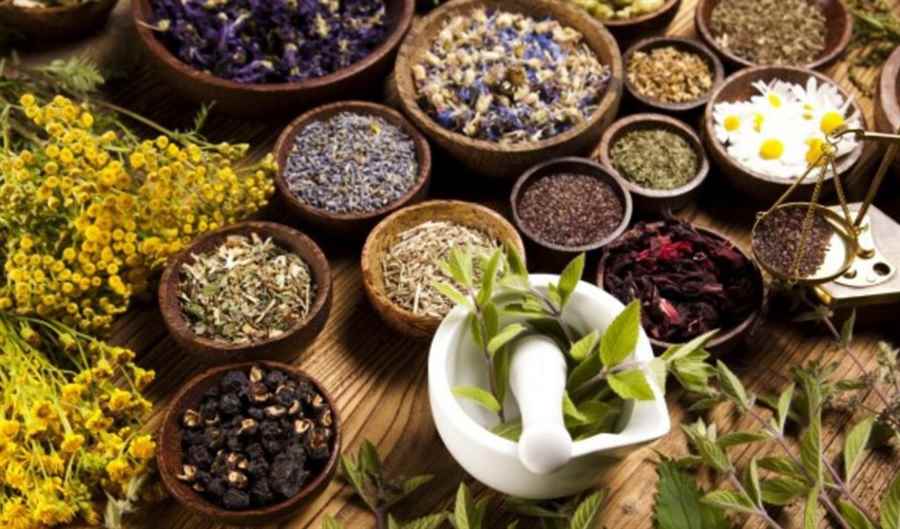 भारत में चिकित्सा पर्यटन