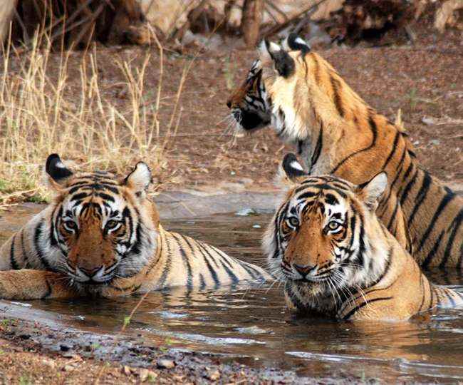 उत्तर भारत में पर्यटन स्थल