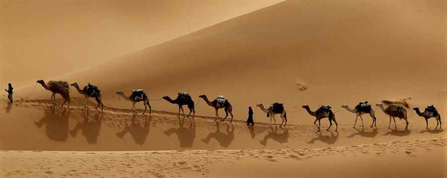 राजस्थान में थार रेगिस्तान भारत में एकांत गंतव्य स्थल