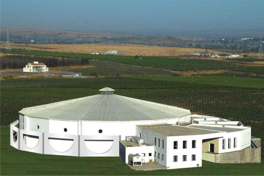 भारत में वाइन यात्रा