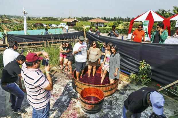 भारत में वाइन यात्रा