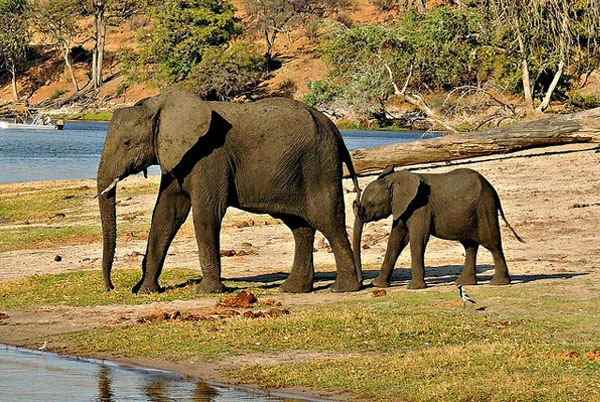 भारत के यूनेस्को विश्व विरासत स्थल