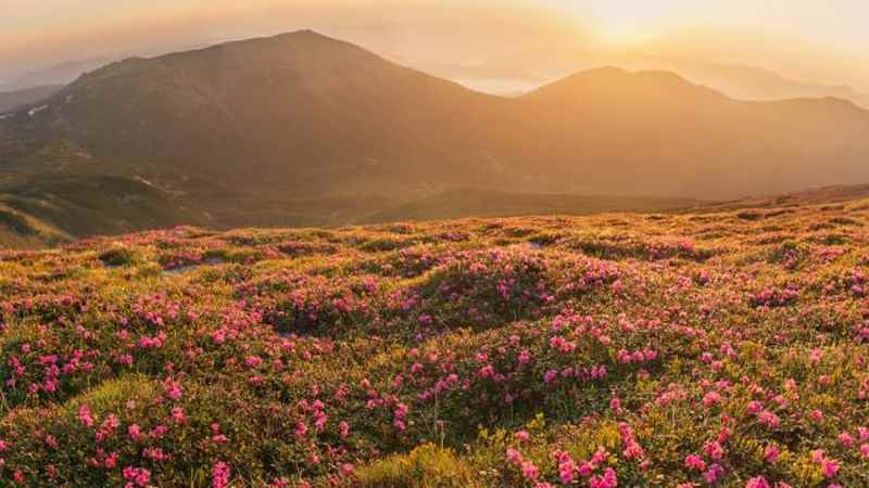 भारत के यूनेस्को विश्व विरासत स्थल