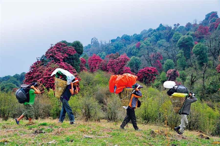 वर्सारी ट्रेक, सिक्किम भारत में ट्रेंकिग के स्थल