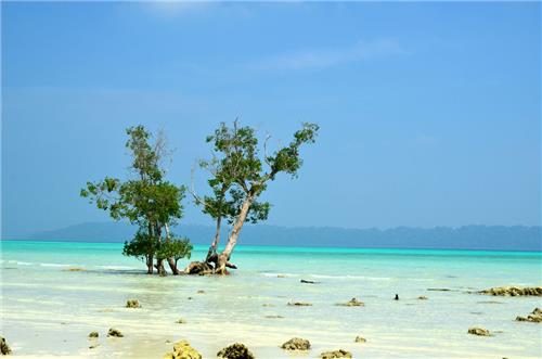Vijaya Beach Park in Alappuzha Vijaya Beach Park in Alappuzha