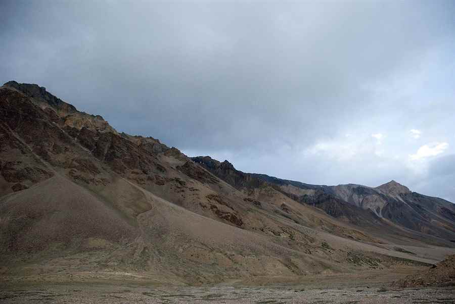 भारत में वन्यजीवन