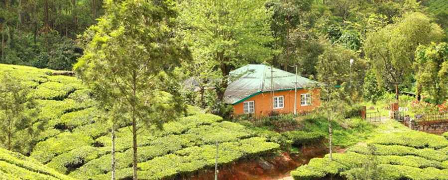 भारत के प्रसिद्ध आध्यात्मिक योग ध्यान केंद्र