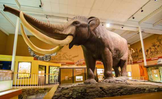 भारत के संग्रहालय