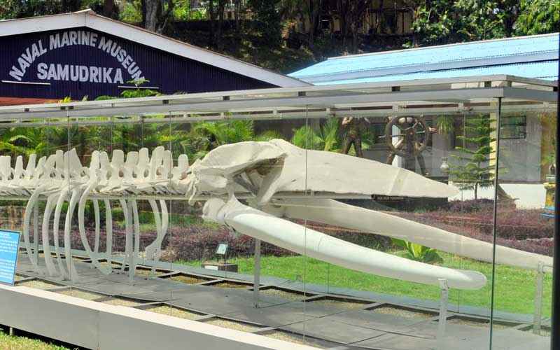 भारत के संग्रहालय