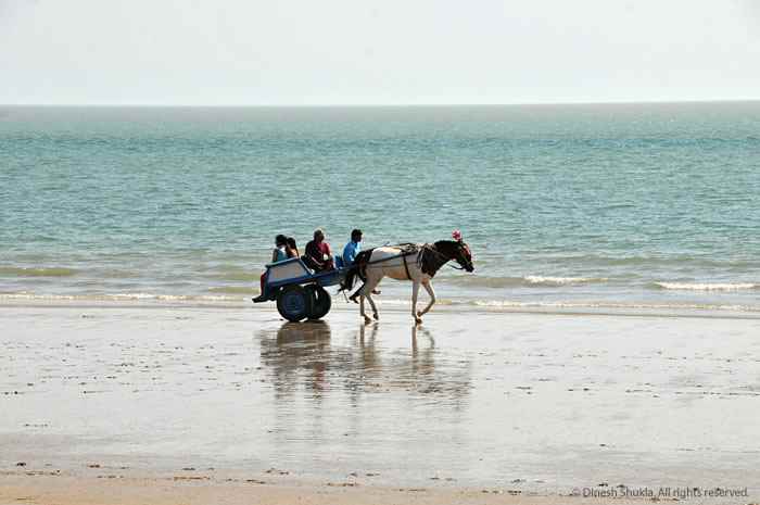 गुजरात के समुद्र तट