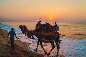 ओडिशा के समुद्री तट