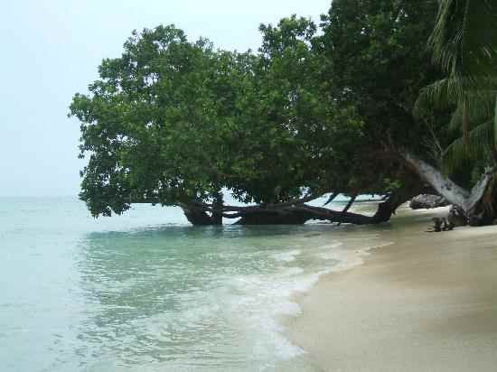 अंडमान द्वीप समूह के समुद्र तट