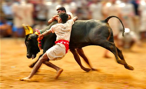 Traditional Sports in India