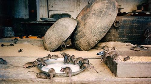 Most Bizarre and Beautiful Places to See in India