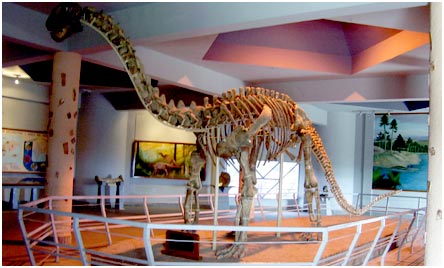 B.M. Birla Science Centre Museum in Hyderabad B.M. Birla Science Centre