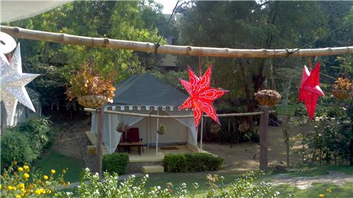Christmaas Cleberations in Kerala