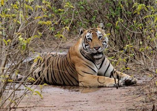 Eco Tourism in India