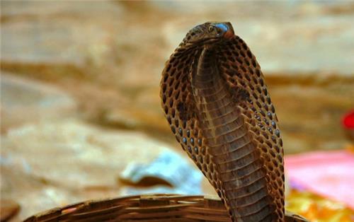 Most Bizarre Places to See in India