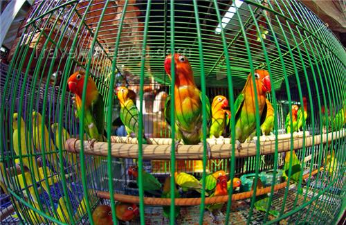 Shopping in Hong Kong