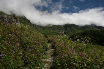 Eco Tourism in India