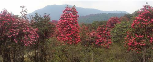 Offbeat Summer Destinations in India