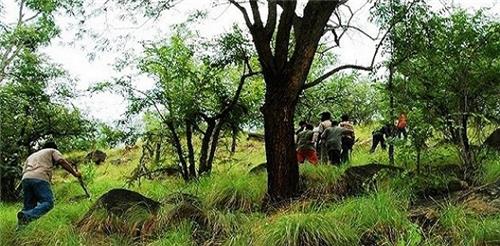 Trekking in Karnataka