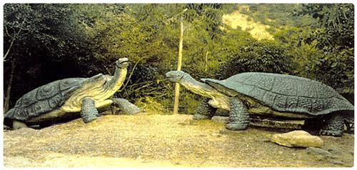 Fossil Park in Himachal Pradesh Unique museums of India