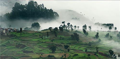 Kodaikanal