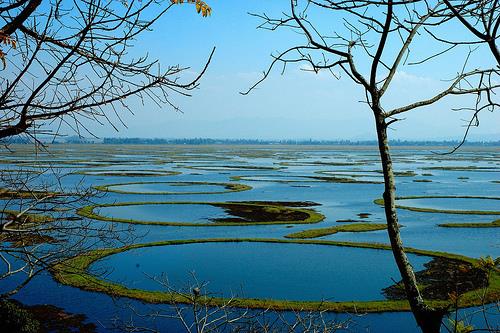 Loktak Lake