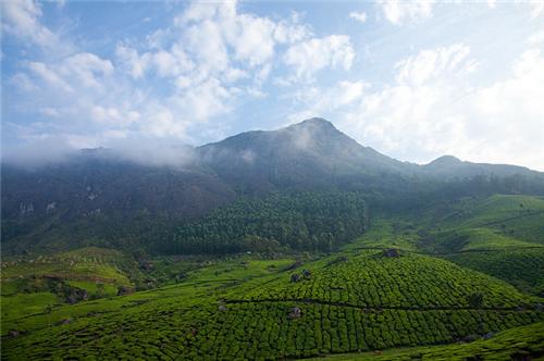 Munnar Famous Hill stations in Kerala