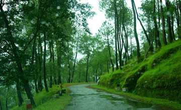 Ranikhet