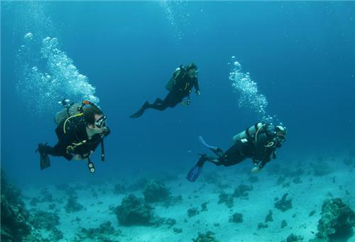 Wreck of Suzy's, Goa Wreck