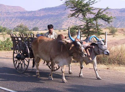 Transport System of India